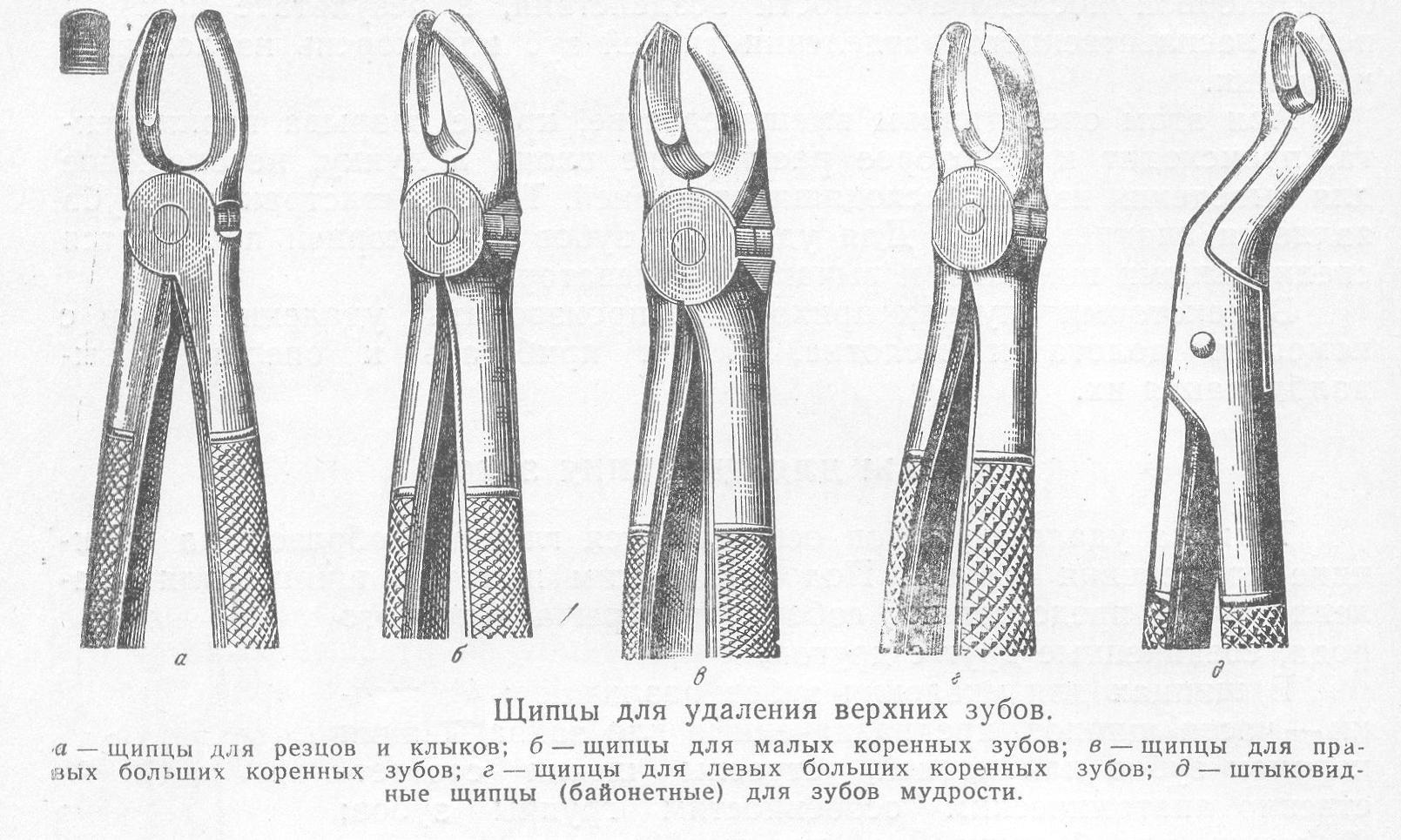 Щипцы для удаления. Инструменты для удаления зубов на верхней челюсти. Инструменты для удаления зубов нижней челюсти. Щипцы стоматологические для удаления зубов верхней челюсти. Щипцы для удаления зубов верхней челюсти классификация.