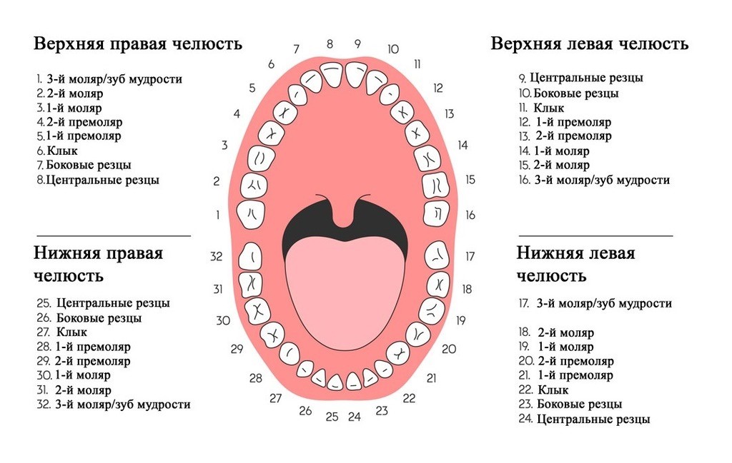 Зубная карта это